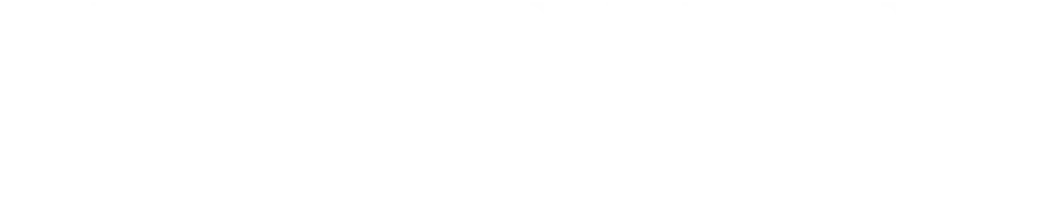 Searcy Denney Scarola Barnhart & Shipley, PA